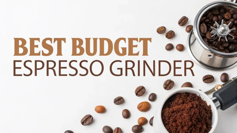 6 Best Budget Espresso Grinder in 2026